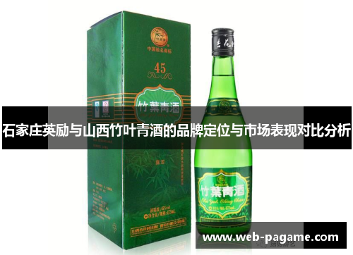石家庄英励与山西竹叶青酒的品牌定位与市场表现对比分析
