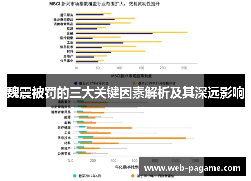 魏震被罚的三大关键因素解析及其深远影响